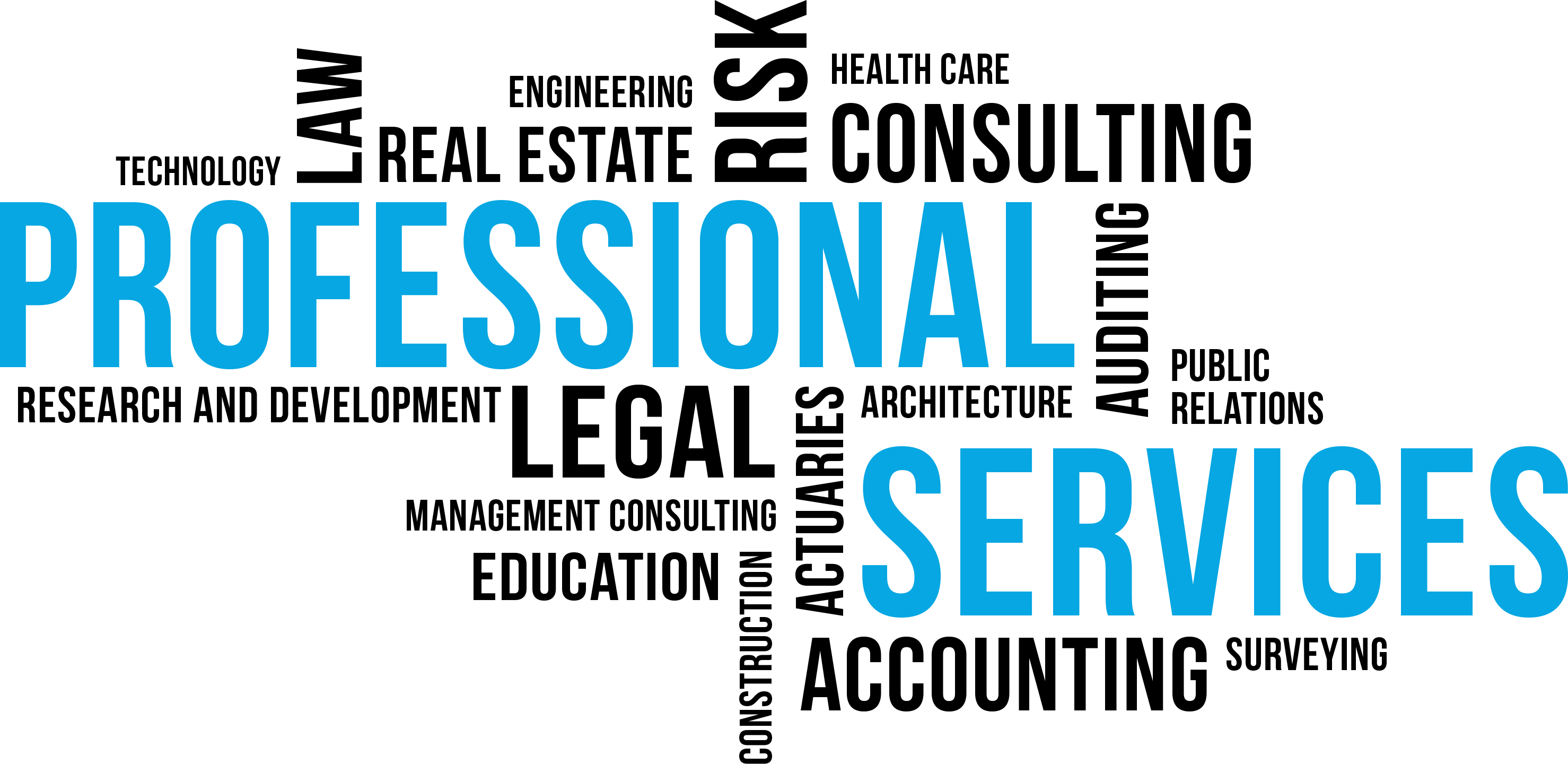 IT Professional Services