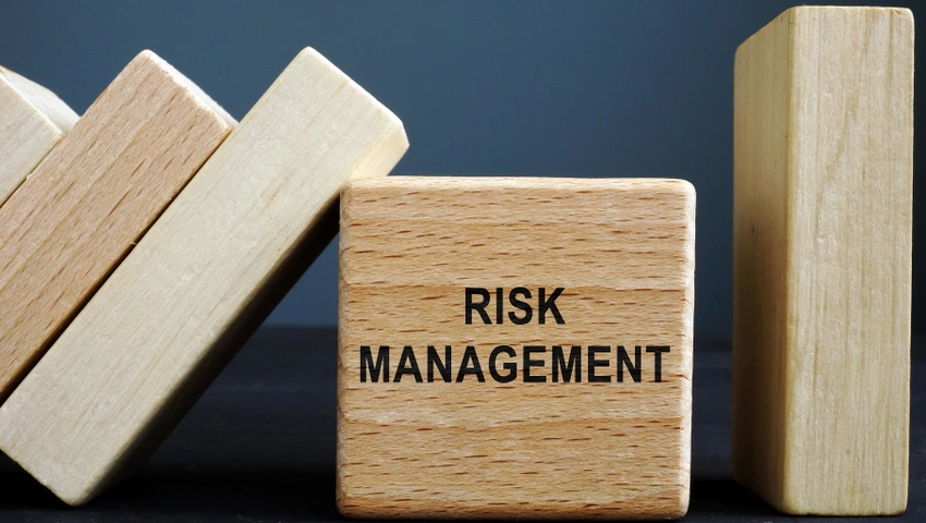 Risk Management Strategies for Professional Service Providers