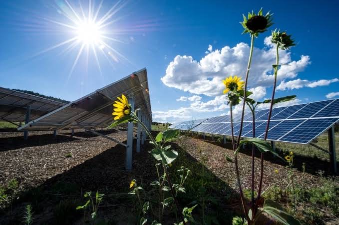 Renewable Energy: Powering a Safer Future